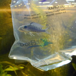 Aquarium
